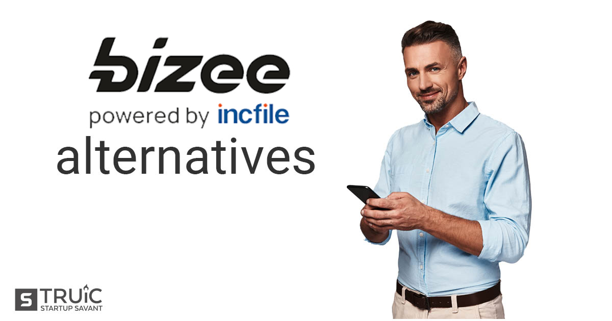 Bizee alternatives review image.