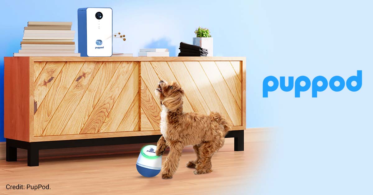 PupPod graphic of dog and pet tech device.