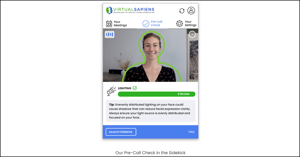 Virtual Sapiens product screenshot.